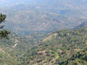 The Walk to the Childrens' Homes