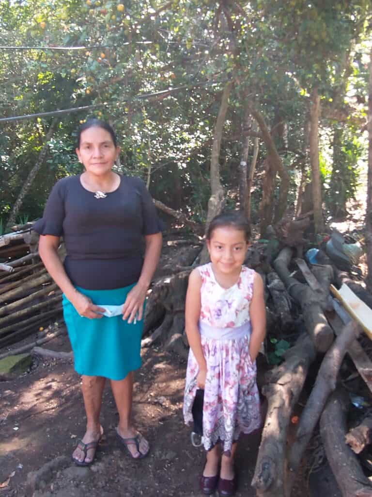 Help Carmen Purchase Hens