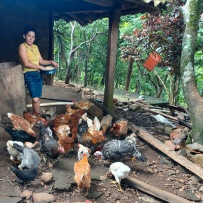 Leonor Tending Hens